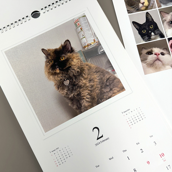 고양이 달력