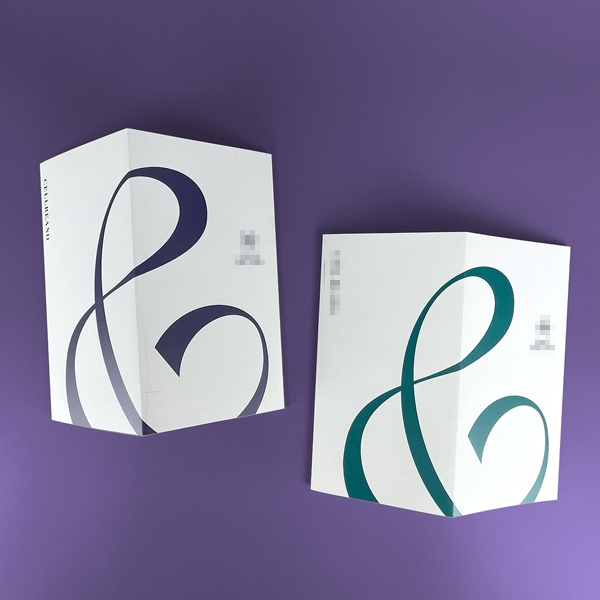 ***의원 리플릿 2종