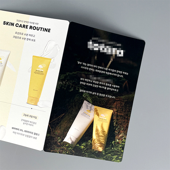 **라 도무송 리플릿